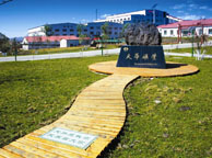 泰州天华矿业集团