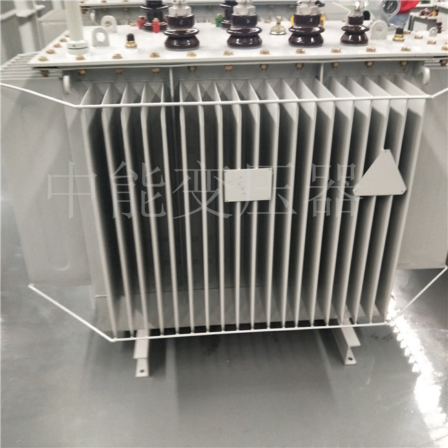 泰州S20-800KVA变压器