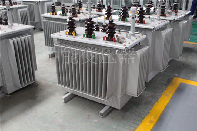 泰州S22-100KVA/10KV/0.4KV变压器